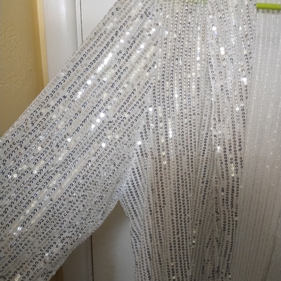 Semi sheer sparkley cover up - Picture 5 of 5